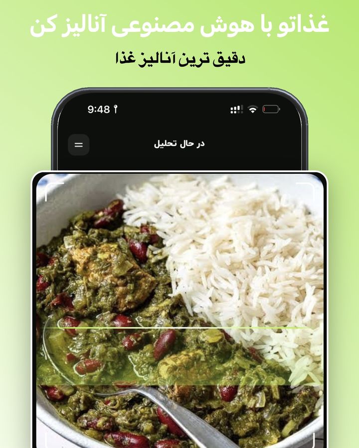 اسکن غذا با هوش مصنوعی جیم فا: عکس چلو خورشت سبزی در حال تحلیل